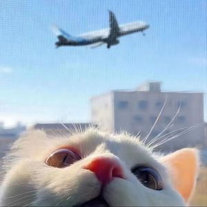 欧美黄色电影网站
